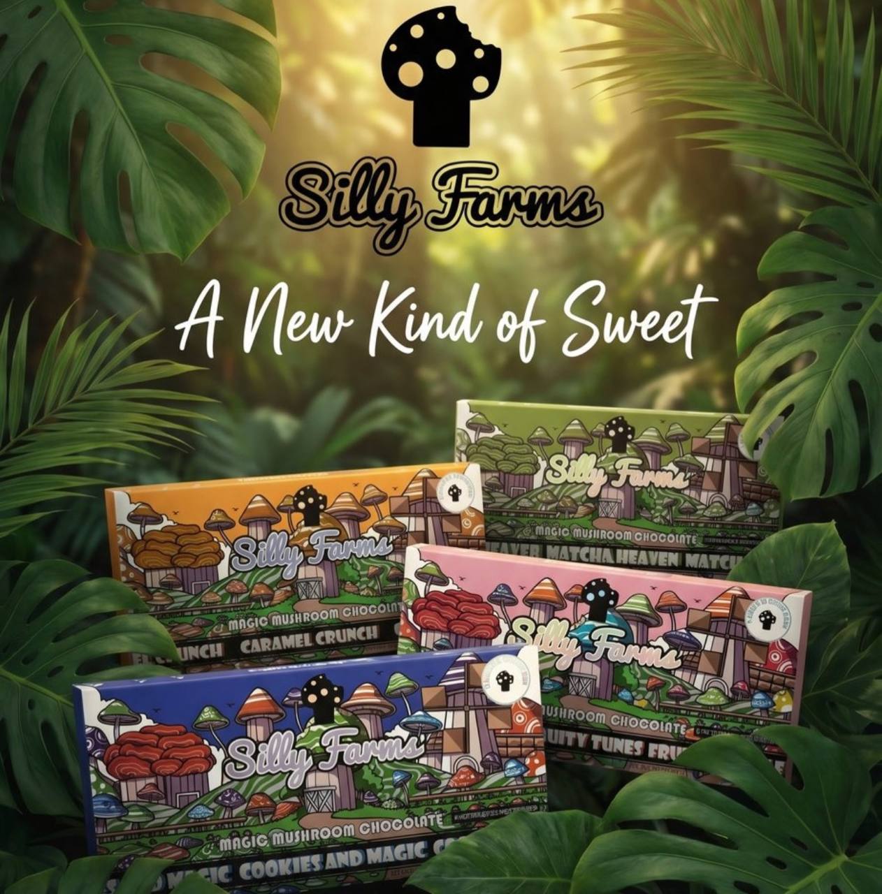 silly farm , silly farms , silly cow farms hot chocolate , silly farms mushroom chocolate , silly farms mushroom chocolate review , silly farms mushroom chocolate , silly farms mushrooms , silly farms silly tabs , mushroom bar , mushroom candy , silly farms magic mushroom chocolate , silly farms chocolate , silly farms mushroom gummies , silly farms mushroom , silly farm mushroom , where to buy psychedelic mushroom chocolate bars , silly tabs , silly farms mushroom chocolate review , silly farms dubai chocolate , silly farms bars , shroom chocolate bars online , shroom bar , silly farms chocolate , silly farms mushroom bars , magical mushroom chocolate bar , mushroom infused chocolate , silly farms chocolate bar , silly farms mushroom chocolate review , silly farms mushroom chocolate , silly farms mushroom bar , shroom chocolate bars near me , where to buy psychedelic mushroom chocolate bars online , psychedelic chocolate , silly farms chocolate , silly farms gummies , cinnamagic , psilocybin mushroom chocolate bars online , silly farms mushroom chocolate review , shroom tabs , silly farms mushroom chocolate , popmint , silly mushrooms , mushroom chocolate bars for sale, silly farms reviews , magic mushroom for sale , silly farms mushroom chocolate ingredients , mushroom chocolate bars , silly farm mushroom bars , sillyfarms , psilocybin chocolate bars delivery , chocolate mushroom candy , magic mushroom chocolate bars nearby , silly farms chocolate bar , farms mushroom fitness talk chocolate bars , where to buy mushroom chocolate , magic mushroom chocolate bar near me , silly bar , mushroom infused chocolates , magic shroom chocolate bar , silly tabs mushroom , mushroom chocolates psychedelic , psilocybin chocolates , shroombars , shroom chocolate bar price , shroom chocolate bars nearby , magic mushroom chocolate bars where to buy , where to buy psychedelic mushroom chocolate bars near me , shroom candy bar , shroom chocolate bars online , magic mushrooms chocolate nearby , buy mushroom chocolate , where can i buy magic mushrooms , where to buy shroom chocolate bars , mushroom chocalte bar , mystical magic chocolate , silly farms chocolate bar , silly farms silly tabs review , where to buy psychedelic mushroom chocolate bars online , silly farms tablets , silly farm tablet , silly farm dubai , silly gummy , silly gummies , silly farm tablet , silly farm clothing